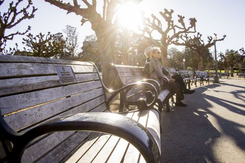 Peacefully sitting on the bench