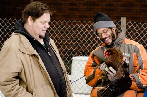 Zoning laws in Cleveland allow chicken aiding CGP in becoming a multi-opportunity urban farm